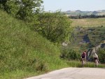 IMG_4950