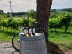 IMG-20260614-WA0045
