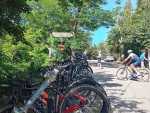 IMG-20260614-WA0203